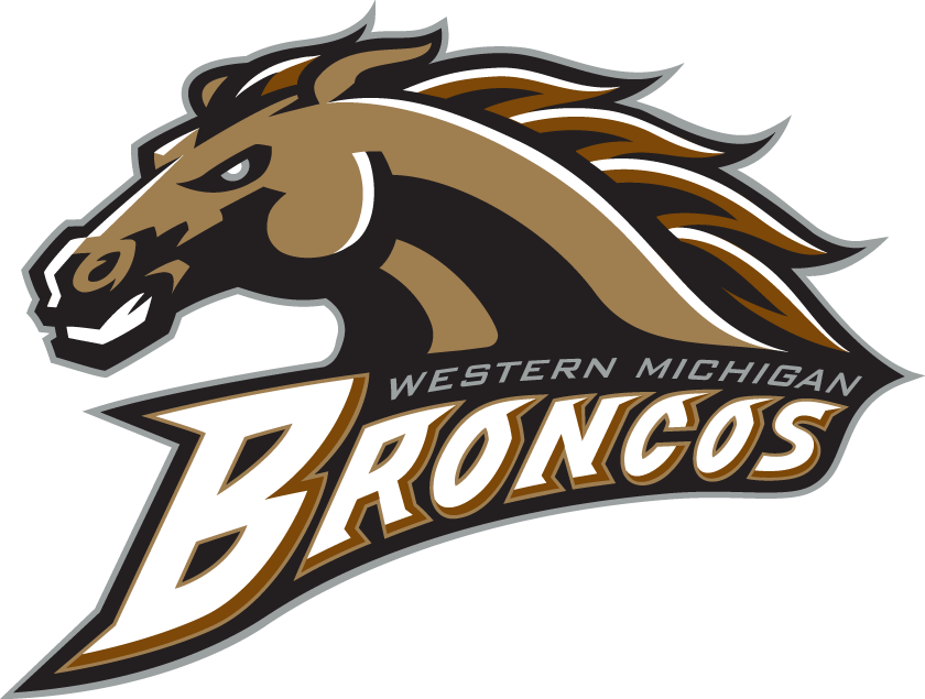Western Michigan Broncos iron ons